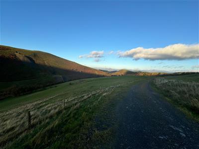 Picture 9